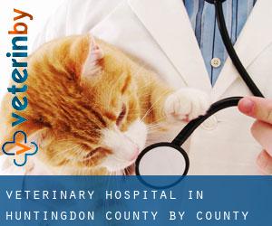 Veterinary Hospital in Huntingdon County by county seat - page 1