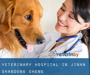 Veterinary Hospital in Jinan (Shandong Sheng)