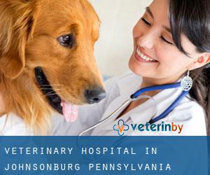 Veterinary Hospital in Johnsonburg (Pennsylvania)