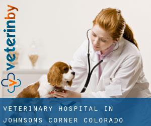Veterinary Hospital in Johnsons Corner (Colorado)