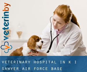 Veterinary Hospital in K. I. Sawyer Air Force Base