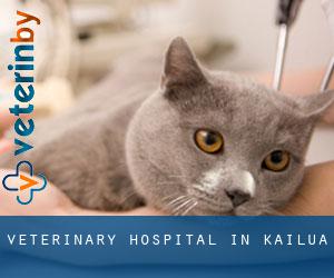 Veterinary Hospital in Kailua