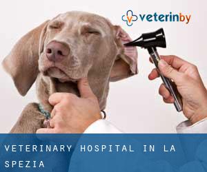 Veterinary Hospital in La Spezia