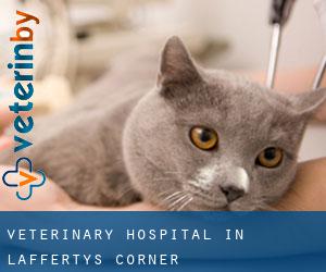 Veterinary Hospital in Laffertys Corner