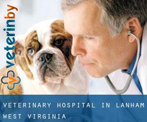 Veterinary Hospital in Lanham (West Virginia)