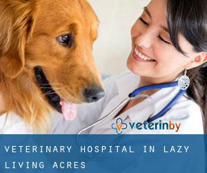 Veterinary Hospital in Lazy Living Acres