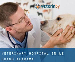Veterinary Hospital in Le Grand (Alabama)