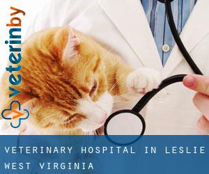 Veterinary Hospital in Leslie (West Virginia)