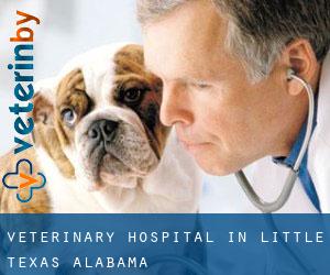 Veterinary Hospital in Little Texas (Alabama)