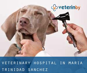 Veterinary Hospital in María Trinidad Sánchez