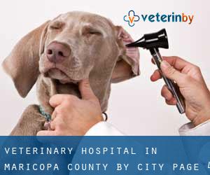 Veterinary Hospital in Maricopa County by city - page 4