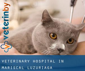 Veterinary Hospital in Mariscal Luzuriaga