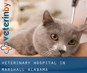 Veterinary Hospital in Marshall (Alabama)