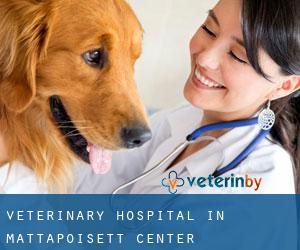 Veterinary Hospital in Mattapoisett Center
