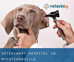 Veterinary Hospital in McCutchanville