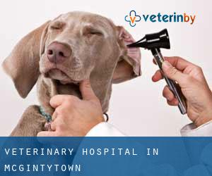 Veterinary Hospital in McGintytown