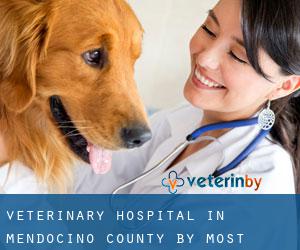 Veterinary Hospital in Mendocino County by most populated area - page 2