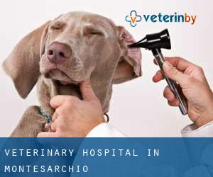 Veterinary Hospital in Montesarchio