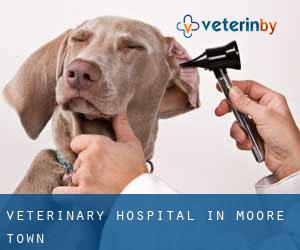 Veterinary Hospital in Moore Town