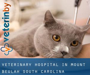 Veterinary Hospital in Mount Beulah (South Carolina)