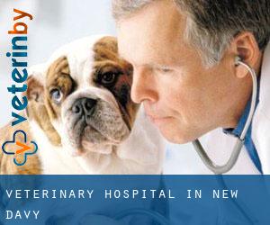 Veterinary Hospital in New Davy