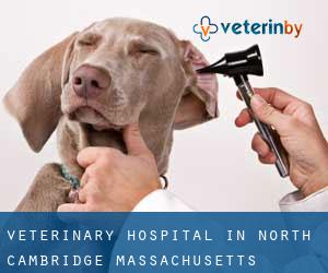 Veterinary Hospital in North Cambridge (Massachusetts)