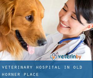 Veterinary Hospital in Old Horner Place