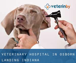 Veterinary Hospital in Osborn Landing (Indiana)