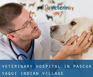 Veterinary Hospital in Pascua Yaqui Indian Village