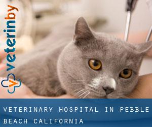 Veterinary Hospital in Pebble Beach (California)