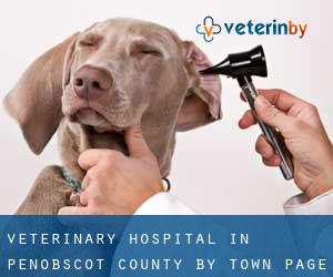 Veterinary Hospital in Penobscot County by town - page 1