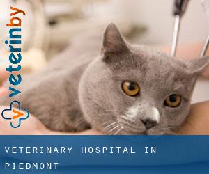 Veterinary Hospital in Piedmont