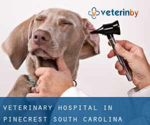Veterinary Hospital in Pinecrest (South Carolina)