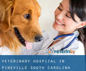 Veterinary Hospital in Pineville (South Carolina)