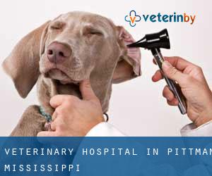 Veterinary Hospital in Pittman (Mississippi)