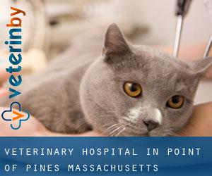 Veterinary Hospital in Point of Pines (Massachusetts)
