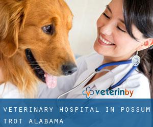 Veterinary Hospital in Possum Trot (Alabama)
