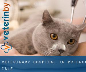 Veterinary Hospital in Presque Isle