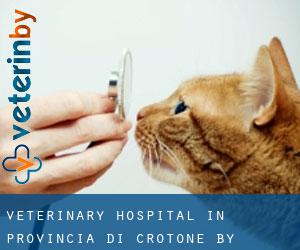 Veterinary Hospital in Provincia di Crotone by municipality - page 1