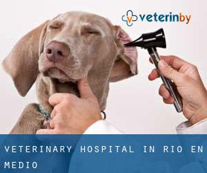 Veterinary Hospital in Rio En Medio