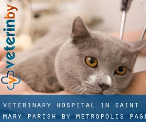 Veterinary Hospital in Saint Mary Parish by metropolis - page 3