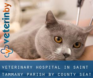 Veterinary Hospital in Saint Tammany Parish by county seat - page 1