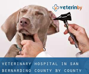 Veterinary Hospital in San Bernardino County by county seat - page 5
