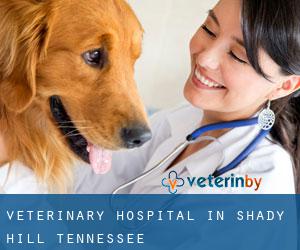 Veterinary Hospital in Shady Hill (Tennessee)