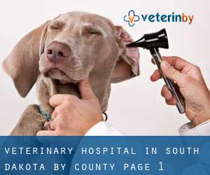 Veterinary Hospital in South Dakota by County - page 1