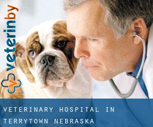 Veterinary Hospital in Terrytown (Nebraska)
