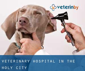 Veterinary Hospital in The Holy City
