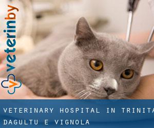 Veterinary Hospital in Trinità d'Agultu e Vignola
