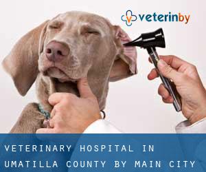 Veterinary Hospital in Umatilla County by main city - page 2