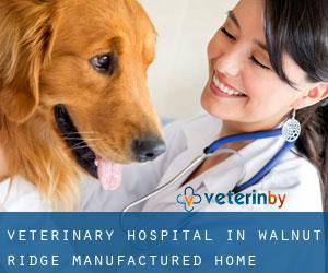 Veterinary Hospital in Walnut Ridge Manufactured Home Community